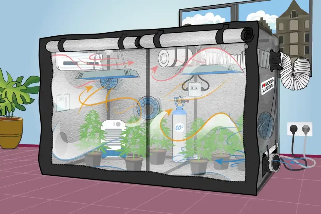 3d complete how to create good air circulation in your cannabis grow tent 3d complete how to create good air circulation in your cannabis grow tent