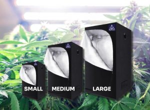 grow tent sizes unbranded grow tent sizes unbranded