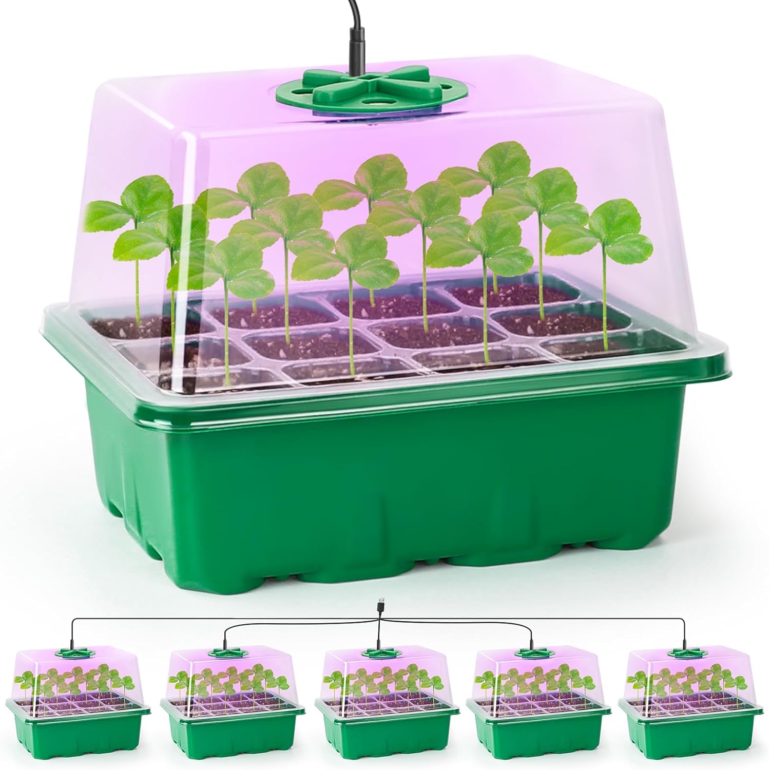 humidity dome sprouting tray affiliate link